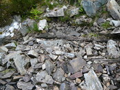 SHG24304_10.JPG