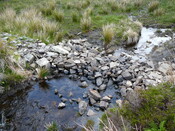 SHG24304_11.JPG
