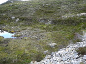 SHG24304_12.JPG