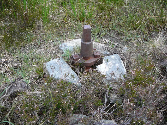 SHG24304_14.JPG