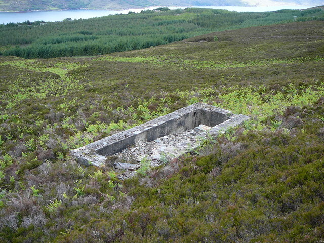 SHG24304_16.JPG