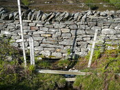 SHG24304_21.JPG