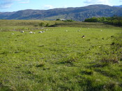 SHG24304_22.JPG