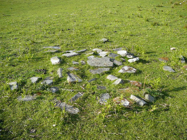 SHG24304_23.JPG