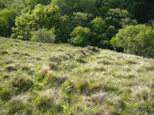 SHG24304_25.JPG
