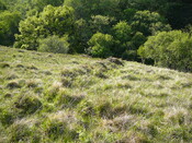 SHG24304_25.JPG