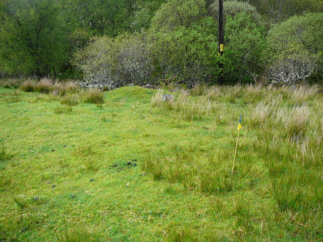 SHG24304_27.JPG