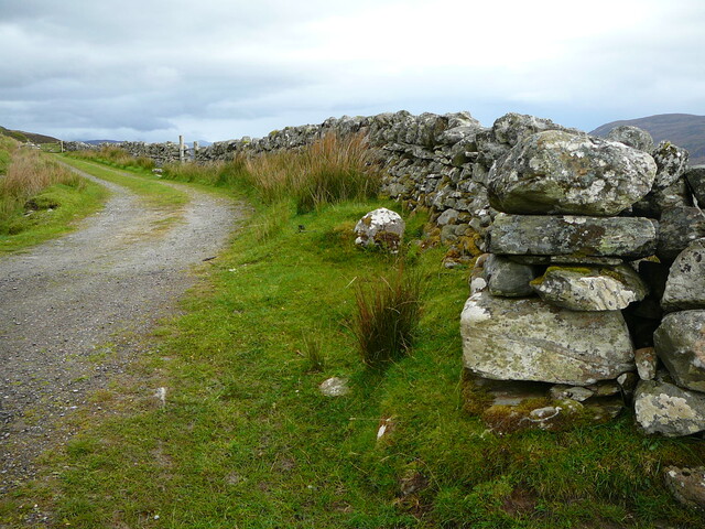 SHG24304_29.JPG