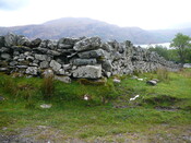 SHG24304_30.JPG