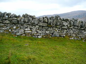 SHG24304_31.JPG