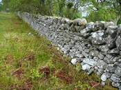 SHG24304_32.JPG