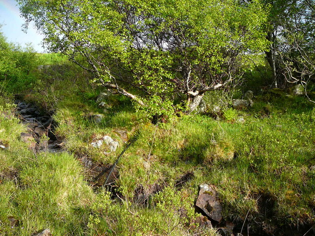 SHG24304_36.JPG