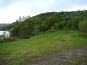 SHG24304_38.JPG