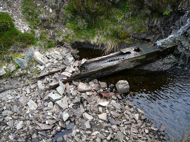 SHG24304_6.JPG