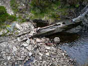 SHG24304_6.JPG