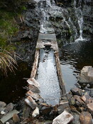 SHG24304_7.JPG