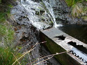 SHG24304_8.JPG
