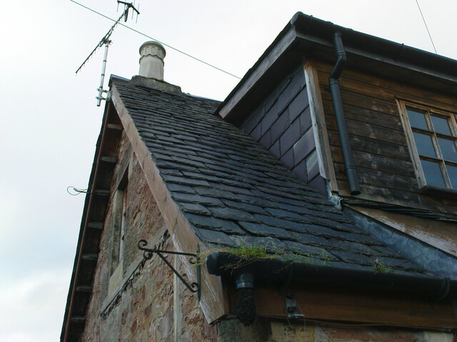 DSC02229.JPG