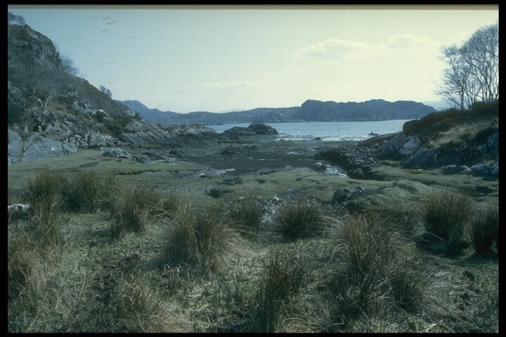 204.JPG
