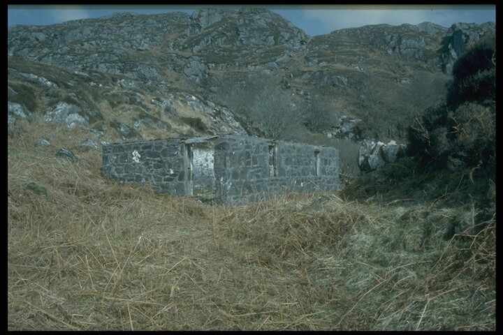 205.JPG