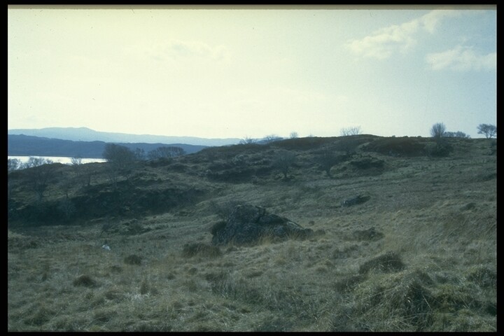 206.JPG