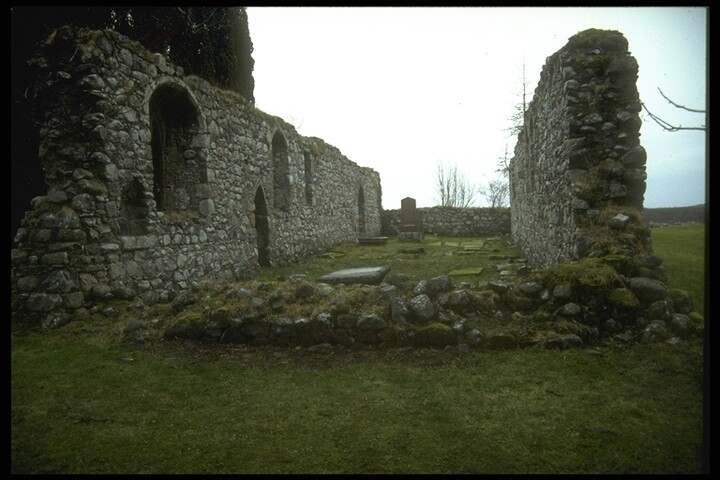 207.JPG
