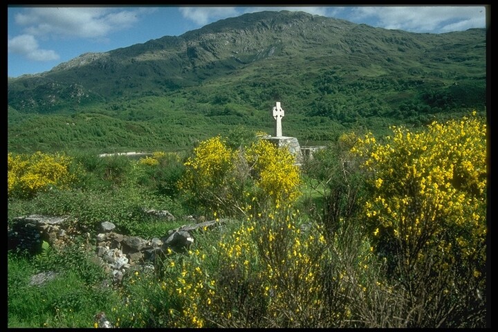 219.JPG