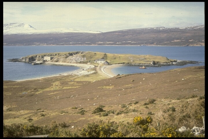 234.JPG