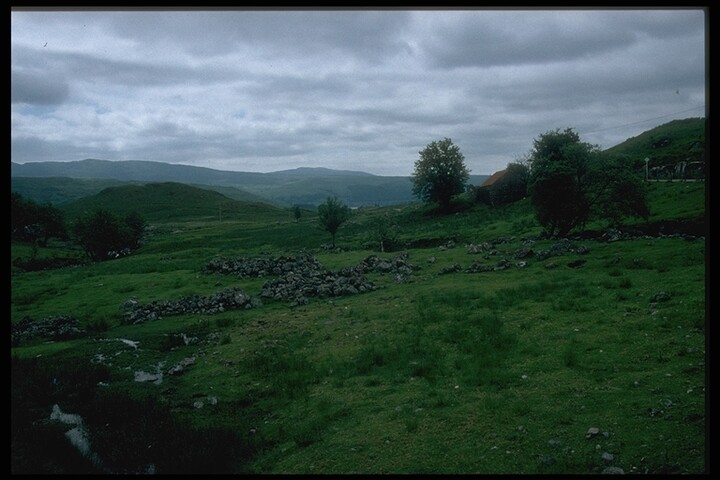 251.JPG