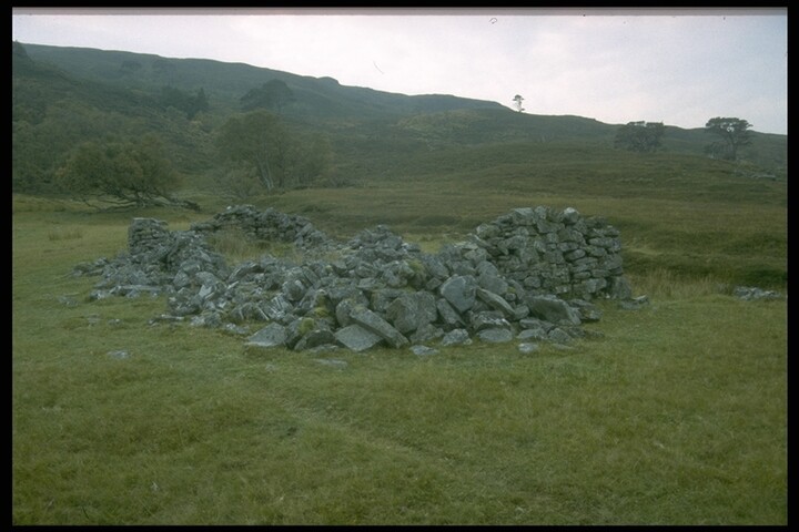 254.JPG
