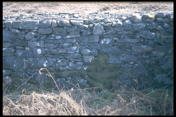 255.JPG