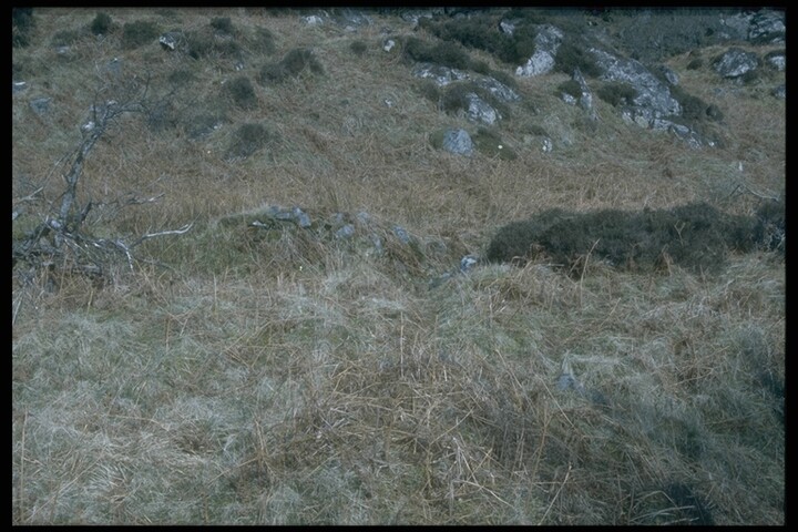 256.JPG