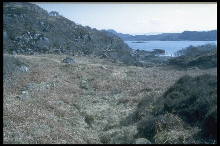 257.JPG