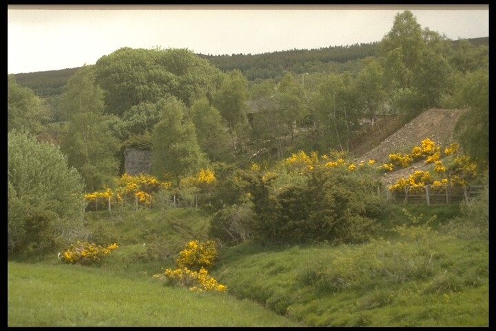 259.JPG