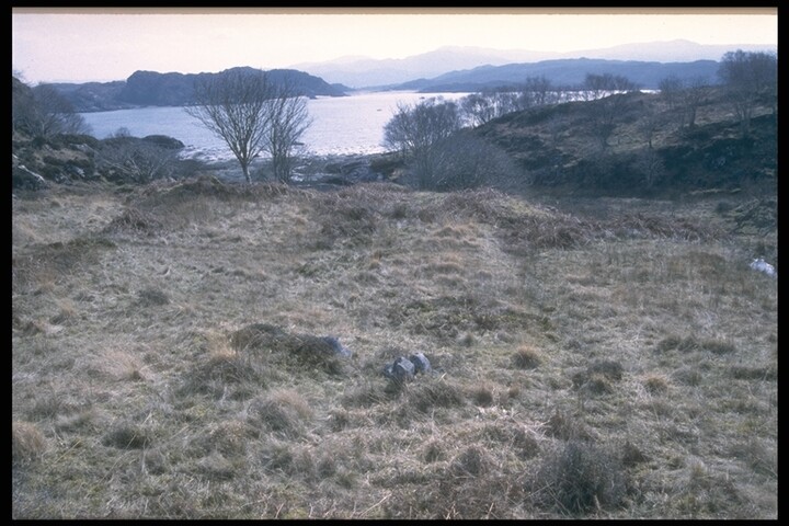261.JPG