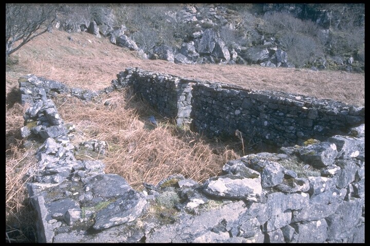 263.JPG