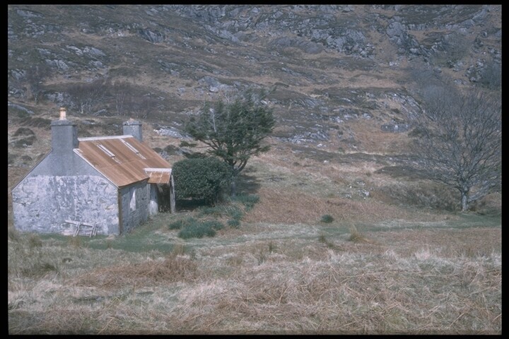 267.JPG