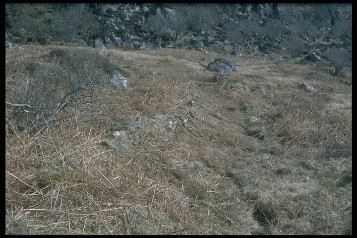 273.JPG