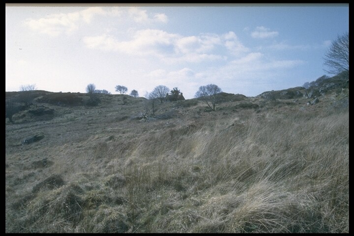 274.JPG