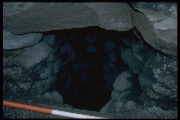 275.JPG