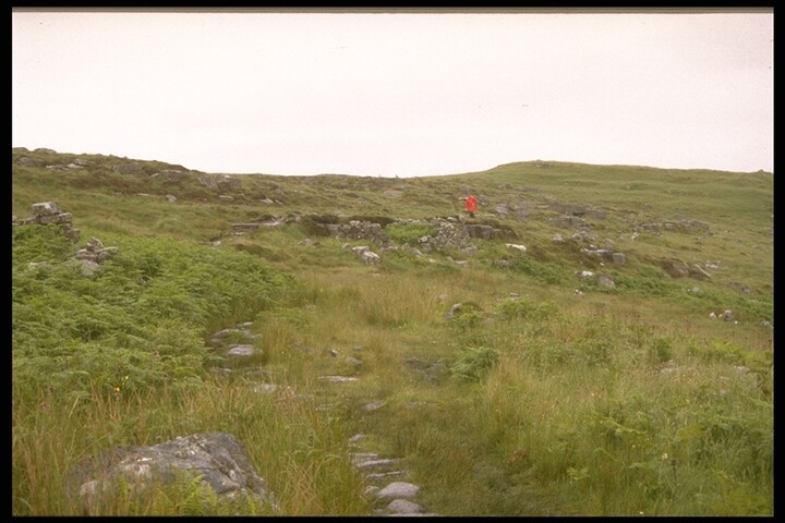 287.JPG