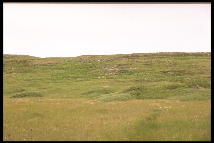 291.JPG
