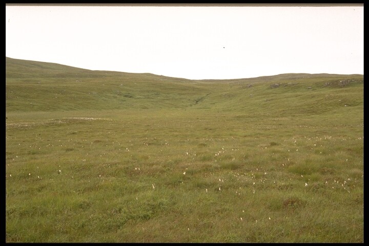 292.JPG