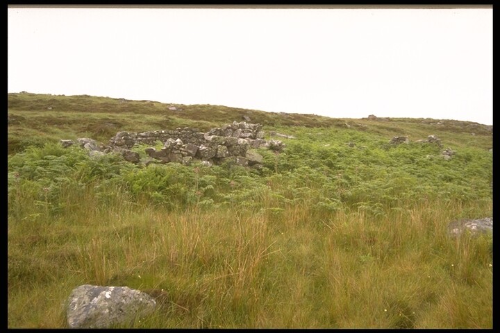 293.JPG