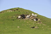 _DSC3835.jpg