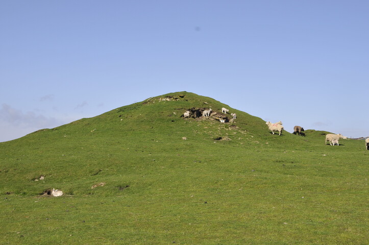 _DSC3837.jpg