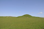 _DSC3838.jpg