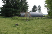 29_06_2009 18_00_14 JMBriscoe05339.JPG