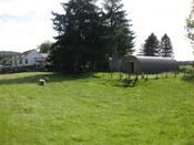 IMG_0977_2.JPG