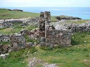 SHG24428_11.JPG